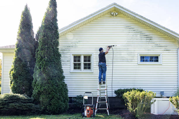 Boat and Dock Cleaning in Willacoochee, GA
